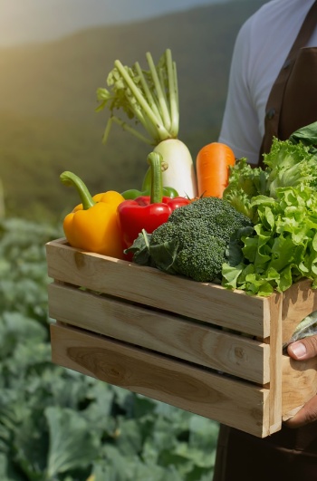 Producteur avec une caisse de produits biologiques